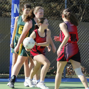Netball 2861859