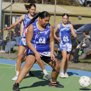 Netball 2861862