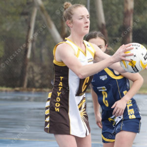 Netball 2865601