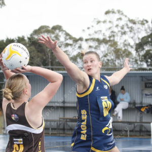 Netball 2865602