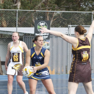 Netball 2865606