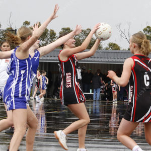 Netball 2866596