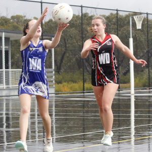 Netball 2866597
