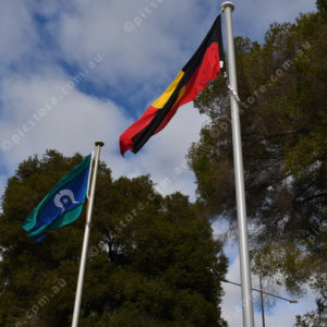 PPNAIDOC25 2850697