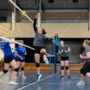 Volleyball 2844258