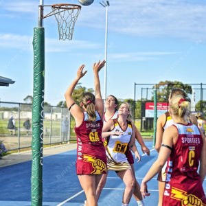 bnlnetball 2849229