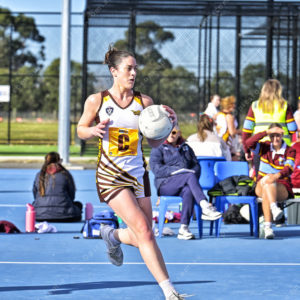 bnlnetball 2849234