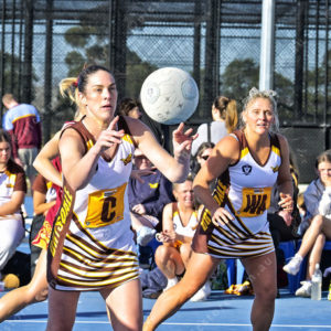 bnlnetball 2849246
