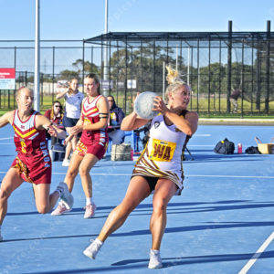 bnlnetball 2849247