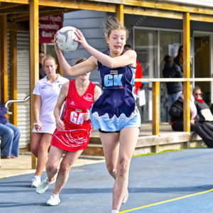 bnlnetball 2859882