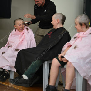 greatshave 2847104