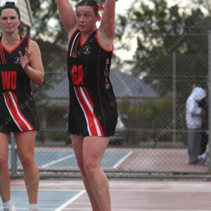 netball 2850865