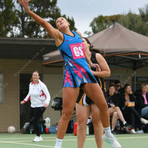 netball 2850867