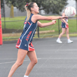 netball 2850921