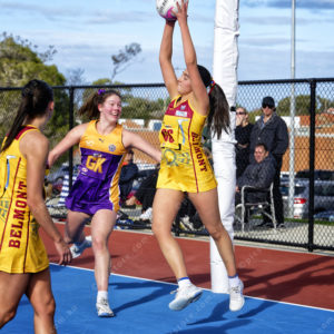 netball 2854620