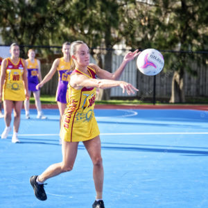 netball 2854638