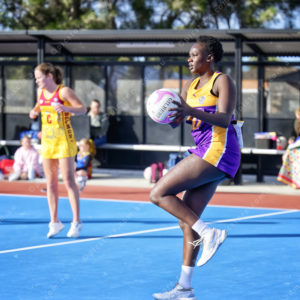 netball 2854641