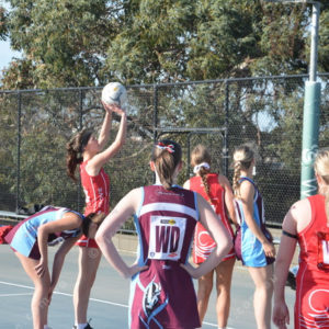 ognetball 2848438