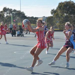 ognetball 2848442