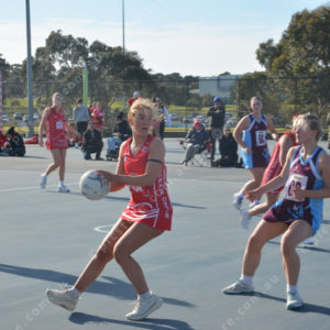 ognetball 2848443
