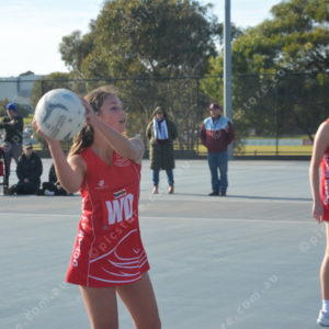 ognetball 2848444