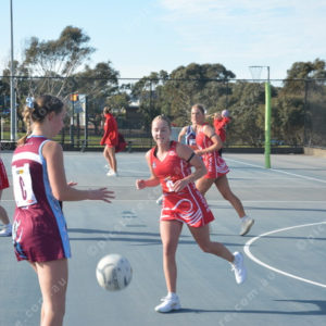 ognetball 2848445