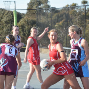 ognetball 2848448