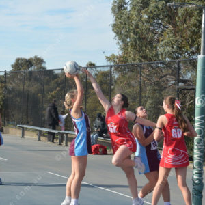 ognetball 2848449