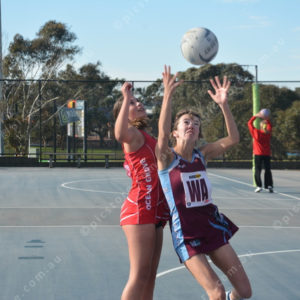 ognetball 2848453
