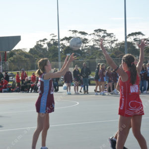 ognetball 2848456
