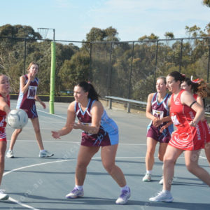 ognetball 2848457