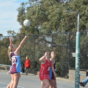 ognetball 2848459