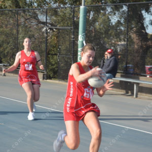 ognetball 2848460