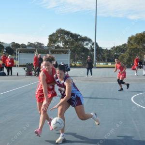 ognetball 2848463