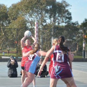 ognetball 2848465