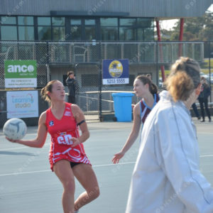 ognetball 2848467