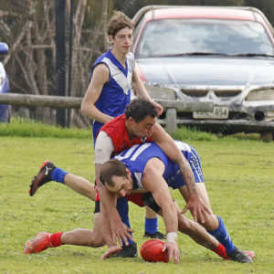Footy 2878446