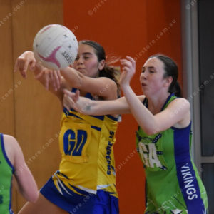 Netball1 2873097