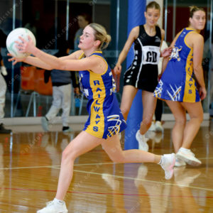 Netball1 2884535