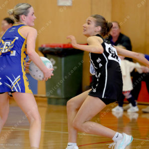 Netball1 2884538