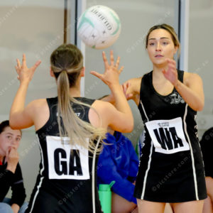 Netball1 2884543