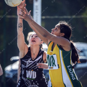 Netball 2877854