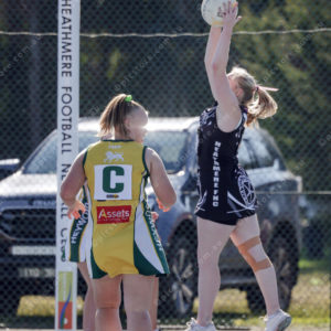 Netball 2877856
