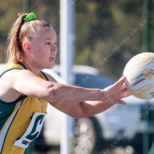 Netball 2877869