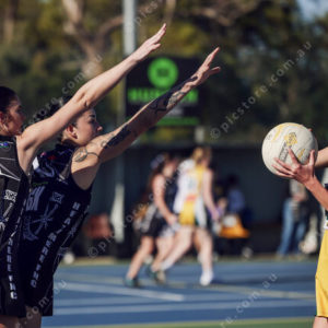 Netball 2877874