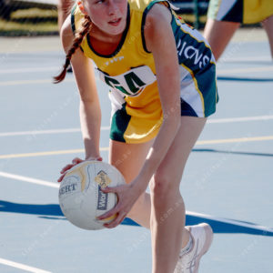 Netball 2877879