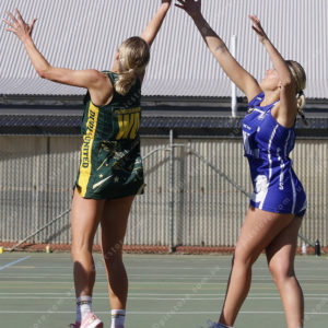 Netball 2891013