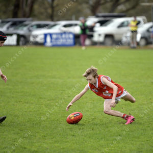 U14Footy 2883716