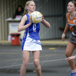 U15Netball 2883781