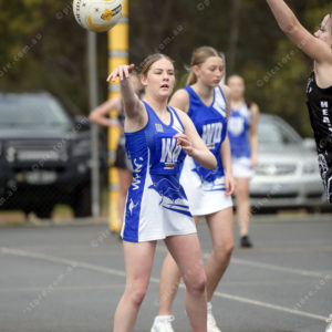 U17Netball 2883737
